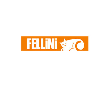 Fellini Kombi Teknik Servis